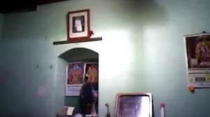లికా