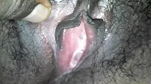 అమోరా లీ